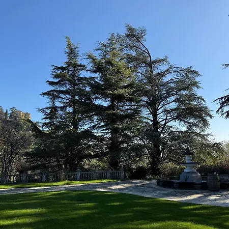 Io&te La Di Monteriolo Canelli